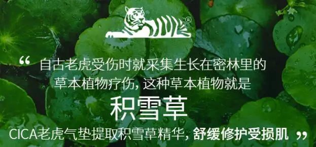 vt老虎水乳在韓國(guó)什么檔次,韓國(guó)十大護(hù)膚品排行榜推薦,vt老虎在韓國(guó)什么檔次
