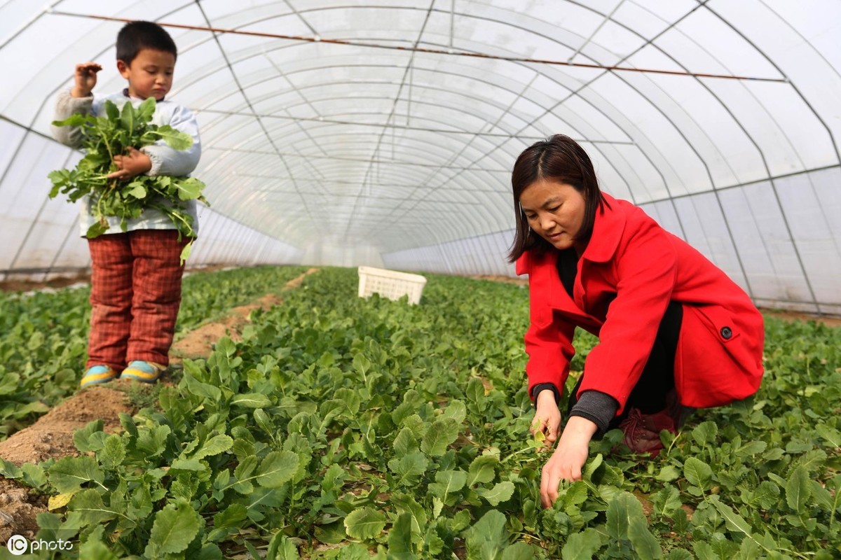 干什么掙錢來的快風險小,2021年最賺錢的行業推薦,干什么掙錢
