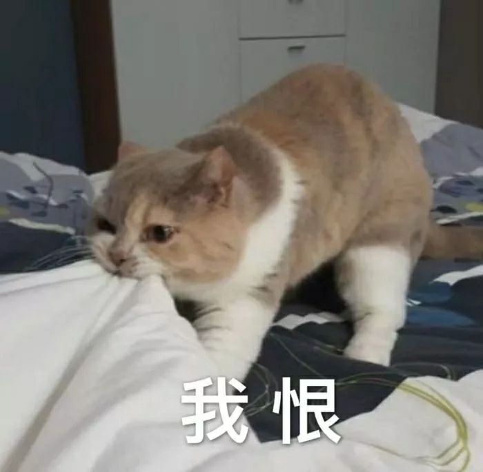 如何發朋友圈廣告文案,推廣產品吸引人的句子分享,朋友圈廣告文案