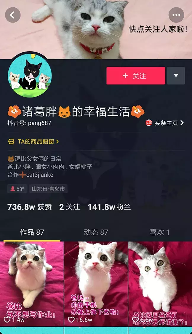 寵物食品廣告語大全,狗糧銷售話術分享篇,寵物食品廣告語