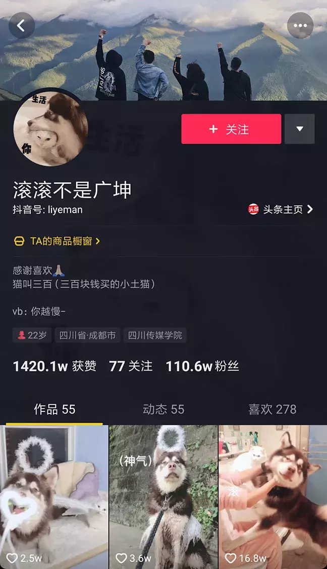 寵物食品廣告語大全,狗糧銷售話術分享篇,寵物食品廣告語