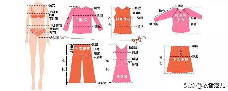 2尺3的腰圍是多少厘米屬什么碼,女性標準體重腰圍表,2尺3的腰圍是多少厘米