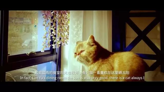 微商做圖軟件哪個好,分享給微商常用的10款作圖軟件,微商做圖軟件