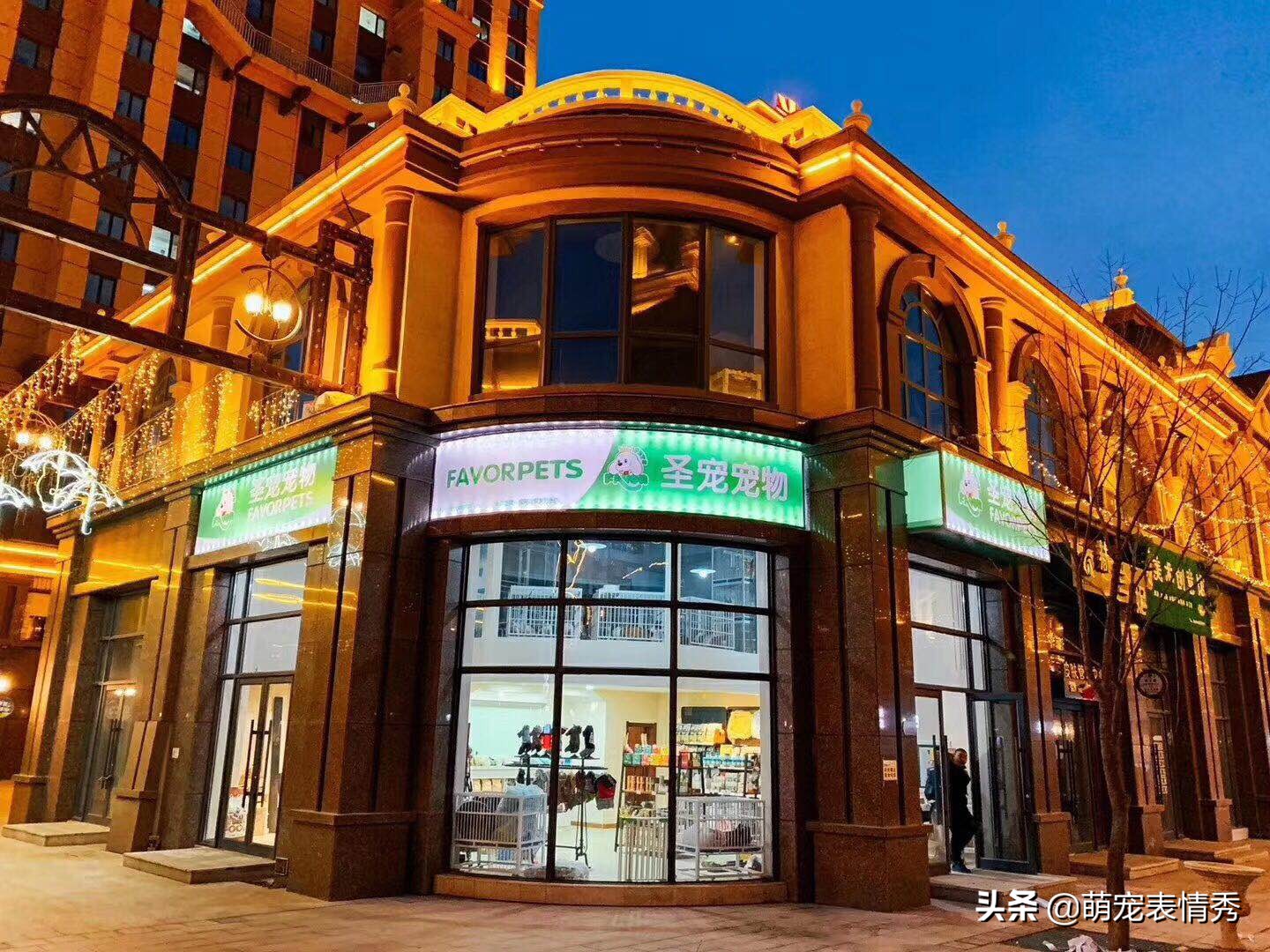 網(wǎng)上開(kāi)寵物用品店賺錢(qián)嗎,選擇寵物用品一手貨源渠道,寵物用品店賺錢(qián)嗎