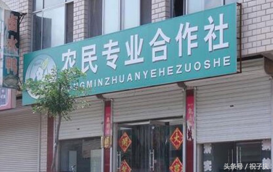 申請國家補貼項目有哪些,2021國家扶持4大項目申請,國家補貼項目有哪些