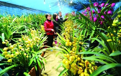 青島外貿服裝批發市場怎么樣,青島批發市場購物攻略,青島外貿服裝批發