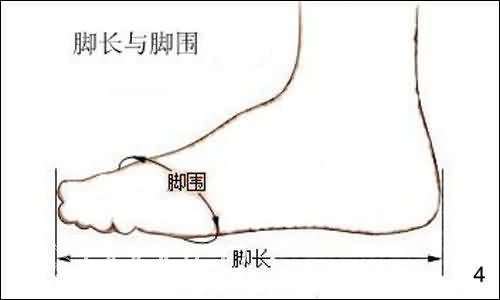 中國女人鞋尺碼對照表,鞋碼怎么測量才標準,鞋尺碼對照表