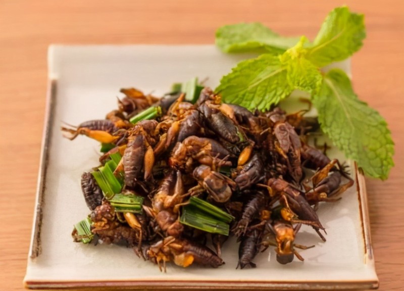 推薦投資10萬(wàn)元?jiǎng)?chuàng)業(yè)項(xiàng)目有哪些,4個(gè)10萬(wàn)元?jiǎng)?chuàng)業(yè)項(xiàng)目值得你參考,10萬(wàn)元?jiǎng)?chuàng)業(yè)項(xiàng)目