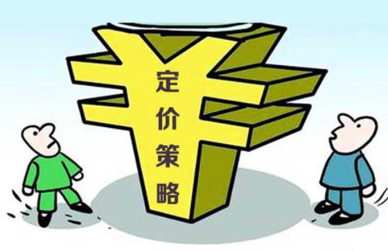 電商平臺如何推廣運營,電商平臺運營方案思路,電商平臺如何推廣