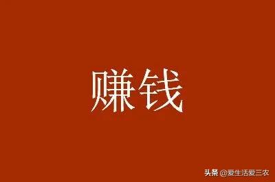 農(nóng)村怎樣致富快,2021年前景最好的項(xiàng)目,農(nóng)村怎樣致富