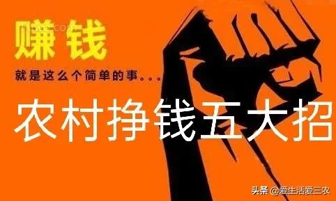 農(nóng)村怎樣致富快,2021年前景最好的項(xiàng)目,農(nóng)村怎樣致富