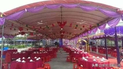 農(nóng)村怎樣致富快,2021年前景最好的項(xiàng)目,農(nóng)村怎樣致富