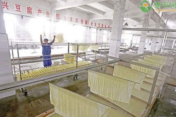 農(nóng)村適合做什么加工廠比較好呢,不愁銷路的小型加工廠,農(nóng)村適合做什么加工廠