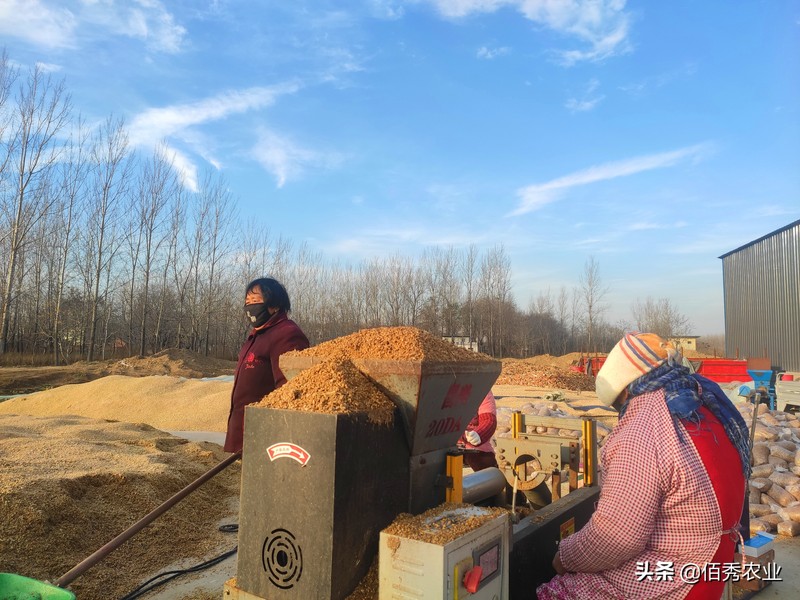 最新農村商機,2021年前景最好的項目,新農村商機