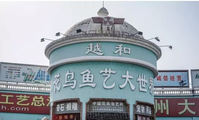 廣州大型批發(fā)市場怎么樣,廣州各批發(fā)市場一覽表,廣州大型批發(fā)市場