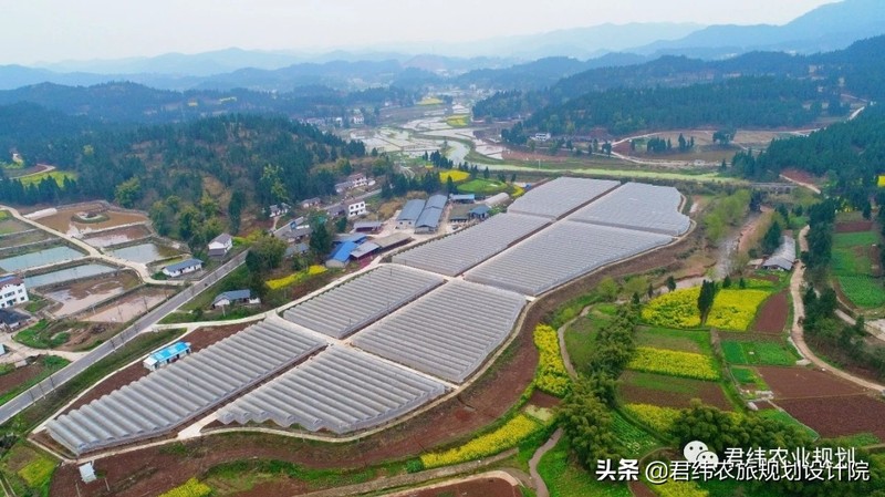 農業補貼項目有哪些,2021國家農業扶持項目,農業補貼項目有哪些