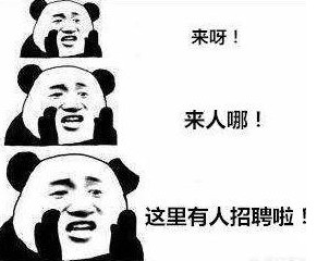 好的找工作的網站,網上招聘網址推薦,好的找工作的網站