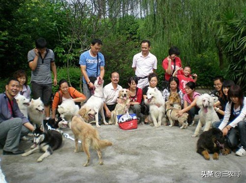 在農村做什么好賺錢,適合窮人沒本錢的創業項目,做什么好賺錢