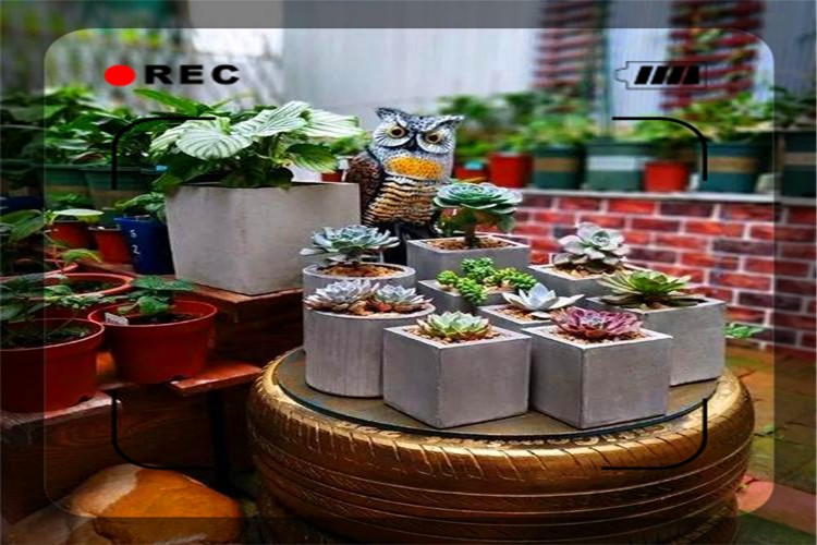 在家如何掙錢的方法,在家一天掙300-500的方法),在家如何掙錢