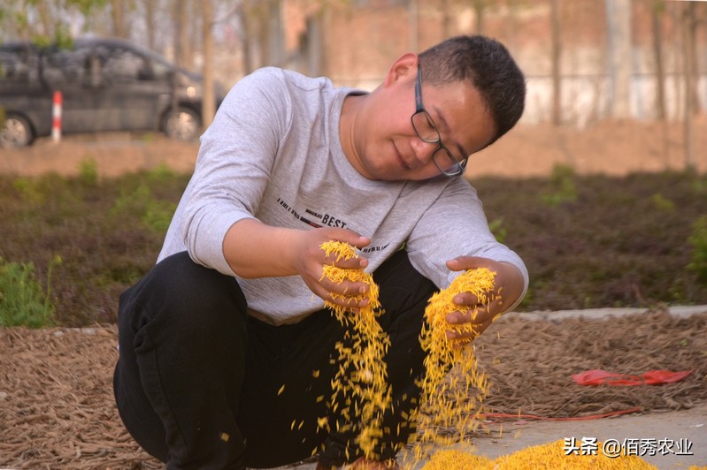 農村什么創業好一點,這4種項目比較有前景,農村什么創業好