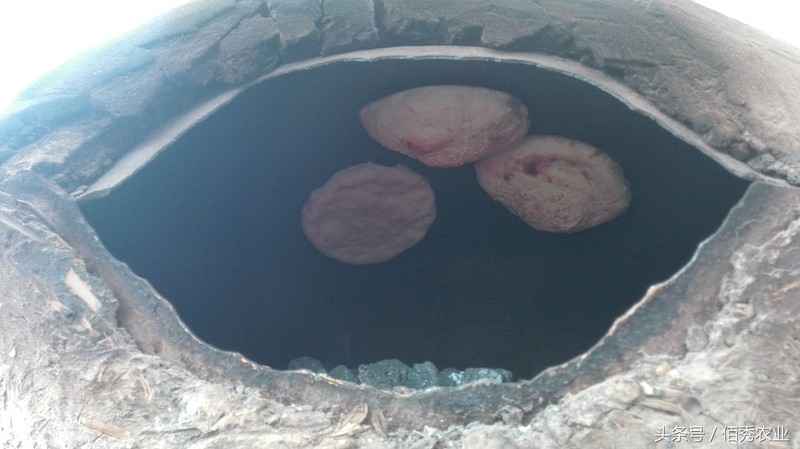 農(nóng)村干什么能掙錢(qián)啊,不起眼的暴利小生意,干什么能掙錢(qián)啊