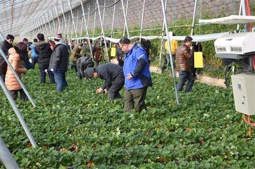 2021年做啥生意掙錢,這4大項目前景可觀,啥生意掙錢