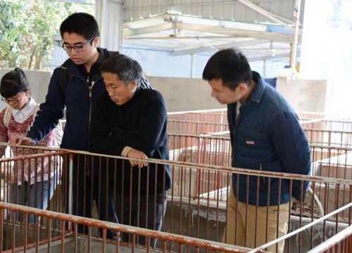 農村做生意什么項目好,適合窮人沒本錢的創業路,做生意什么項目好