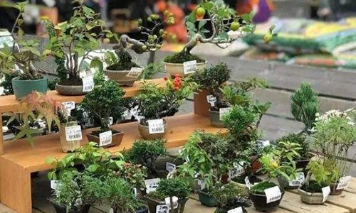 最近做什么生意比較賺錢,好做又賺錢的5個小生意,做什么生意比較賺錢