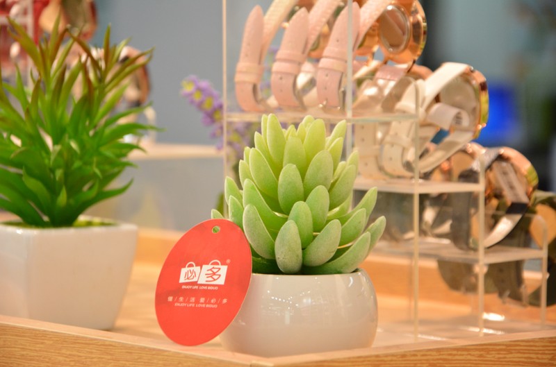 十元店貨源從哪里進貨,新手開店必看教程,十元店貨源