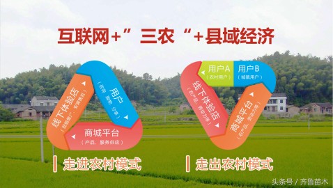 農村掙錢項目有哪些,藏在農村不起眼的5個暴利項目,農村掙錢項目
