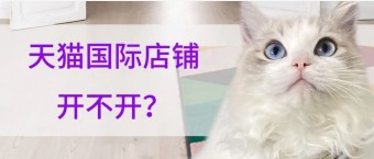 天貓國際商城官網店鋪,天貓國際店鋪入駐優勢,天貓國際商城官網