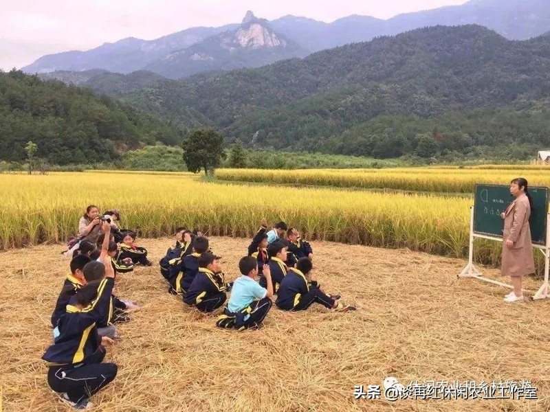 農(nóng)村疫情過(guò)后有什么商機(jī),這4個(gè)項(xiàng)目前景可觀,疫情過(guò)后有什么商機(jī)