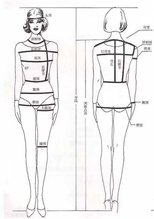 女士內褲尺碼對照表圖及尺寸,內褲尺寸體重對照表,女士內褲尺碼對照表圖