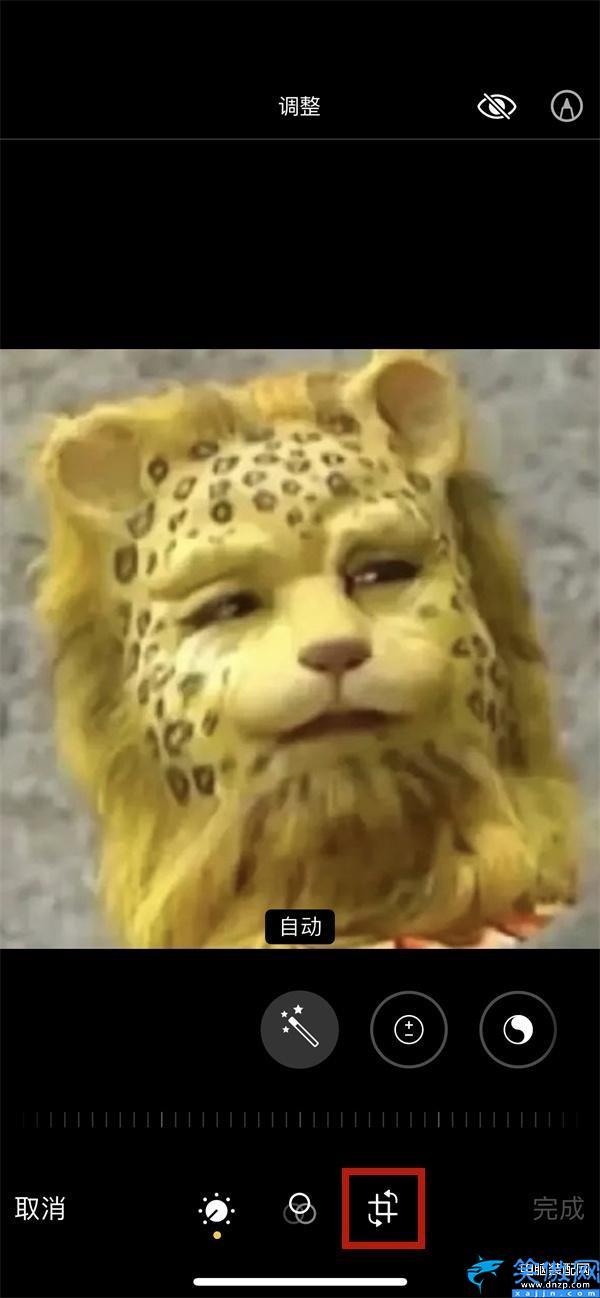 手機(jī)怎么鏡像翻轉(zhuǎn)圖片,蘋果13照片使用鏡面翻轉(zhuǎn)步驟介紹