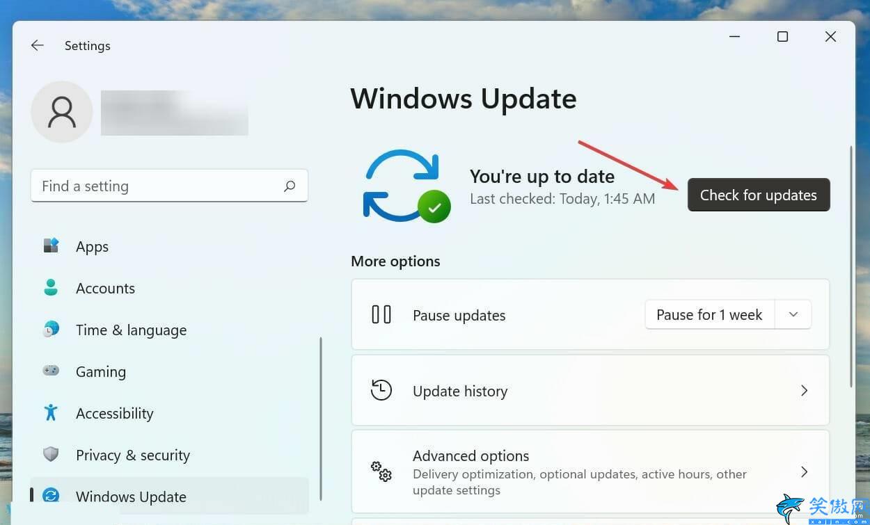 電腦檢測不到麥克風是什么原因,Win11語音輸入無法使用解決方法