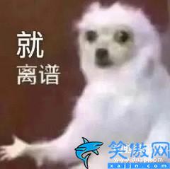 美圖手機開不了機怎么辦,解決手機黑屏打不開小技巧