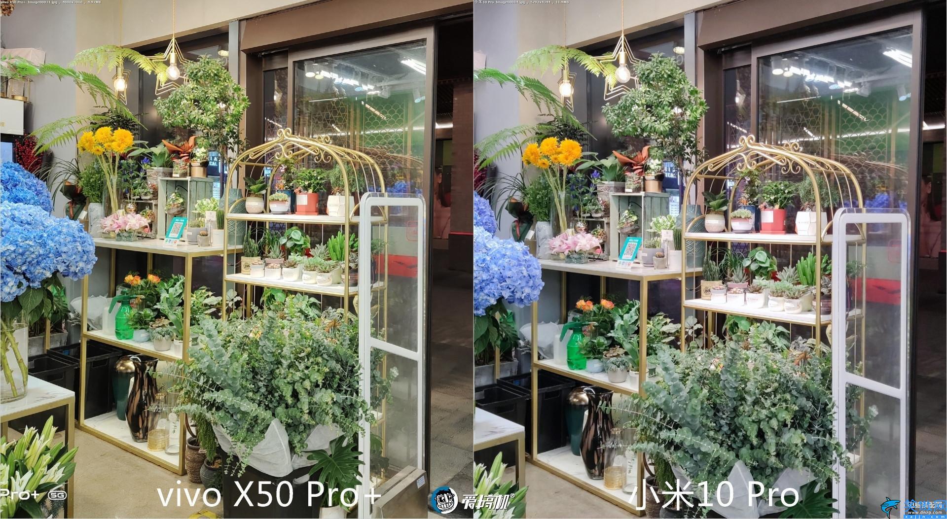 x50pro+的配置詳細參數,vivo X50 Pro+評測