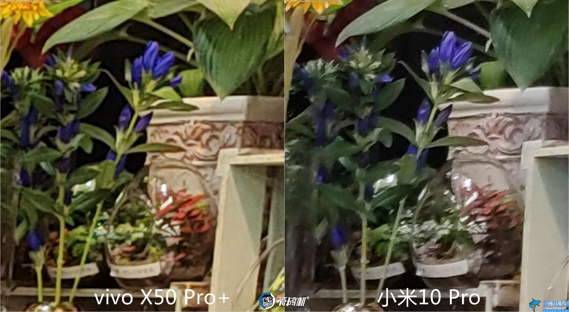 x50pro+的配置詳細參數,vivo X50 Pro+評測