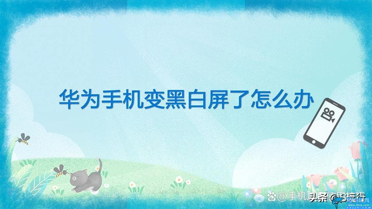 華為手機屏幕變成灰色怎么恢復彩色,華為手機變黑白屏了恢復色彩教程