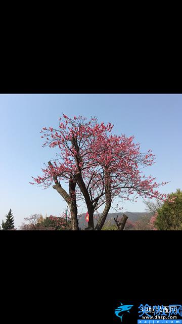 蘋果手機壓縮圖片怎么操作,壓縮圖片大小的方法詳述