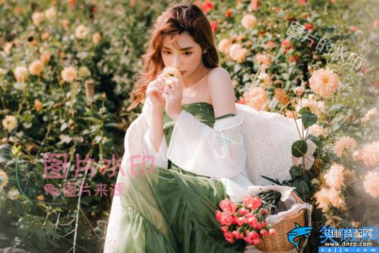 怎么給照片添加時間水印,用3招為照片打上專屬水印