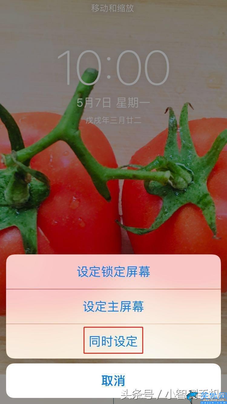 蘋果手機設置屏保圖片在什么地方,iPhone手機壁紙自定義教程