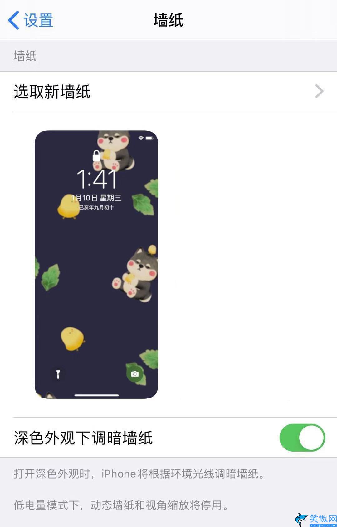 蘋果11手機壁紙怎么設置,iPhone更換動態壁紙的操作流程
