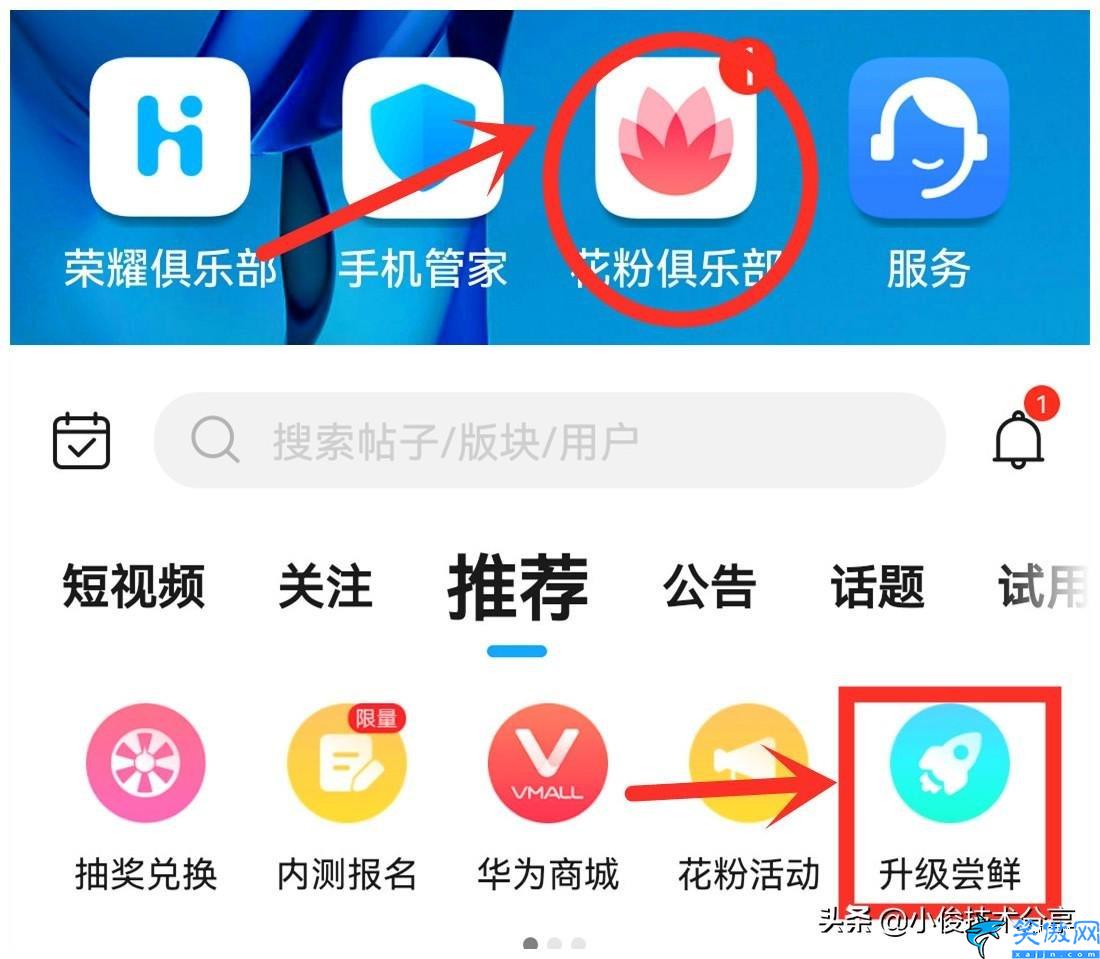 華為怎么升級成鴻蒙系統,華為手機更新鴻蒙系統詳細方法