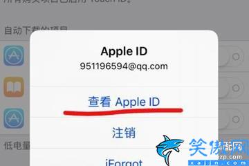 蘋果手機付費設置怎么取消,設置iPhone解除應用自動續費