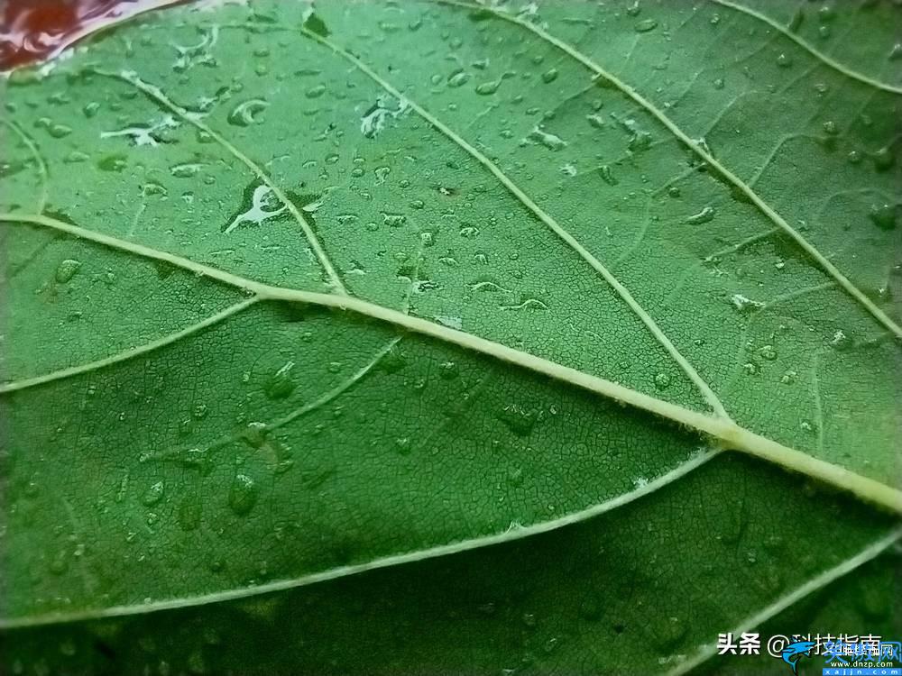 華為麥芒10SE參數(shù)配置,大屏麥芒手機(jī)的用機(jī)不平庸