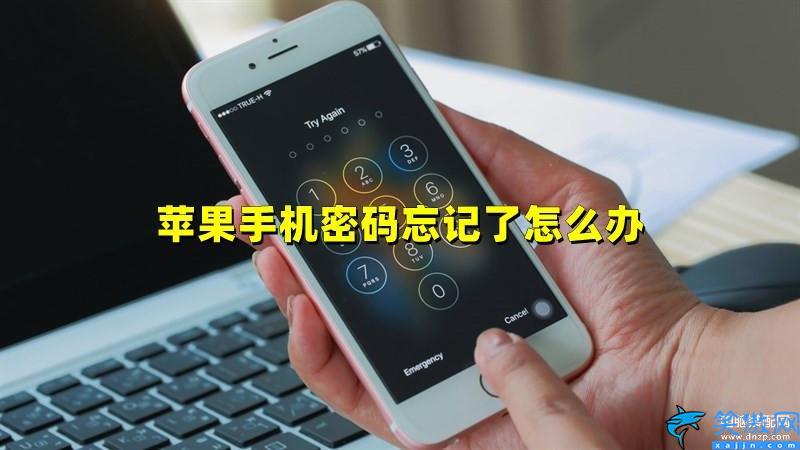 蘋果手機鎖屏密碼怎么解除,iPhone手機5種最簡單的解鎖方法