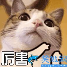 華為榮耀圖片怎么編輯文字,給手機照片添加文字簡單方法